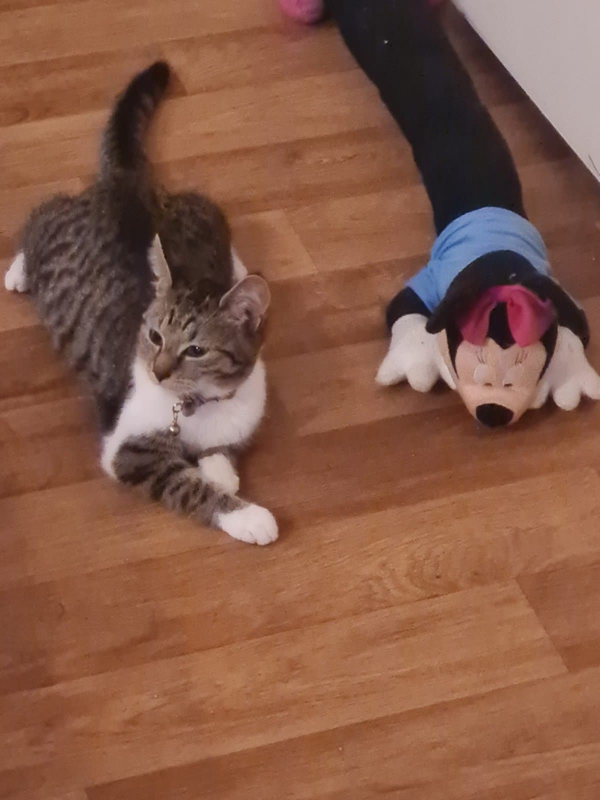 Foto van Sayana