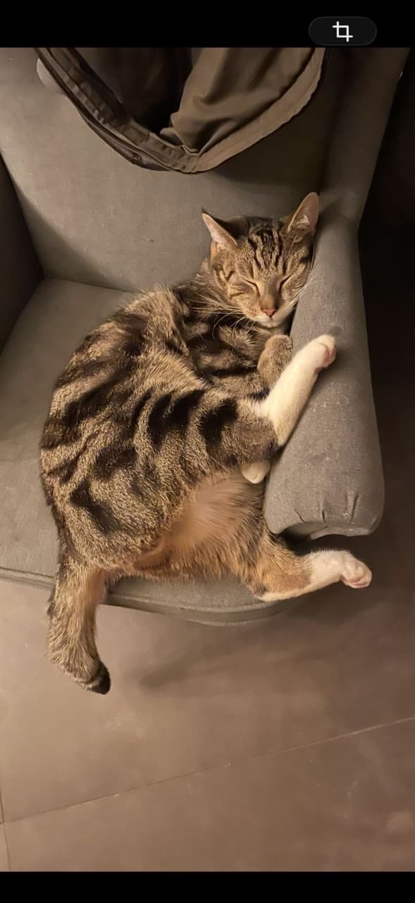 Foto van Stinkie