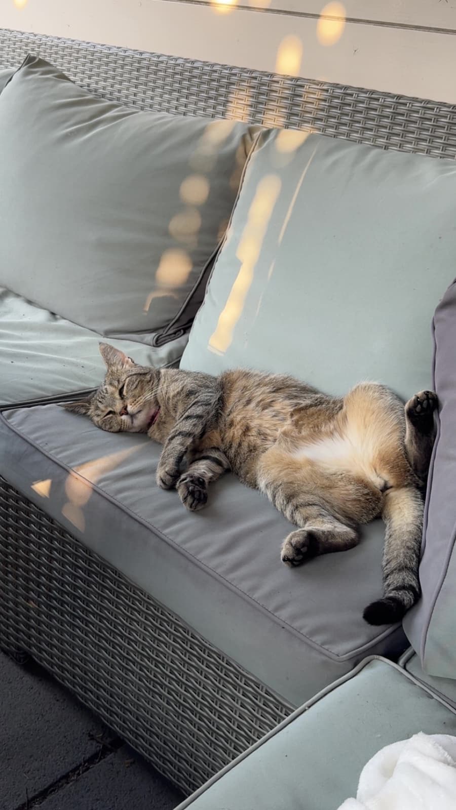 Foto van Poes