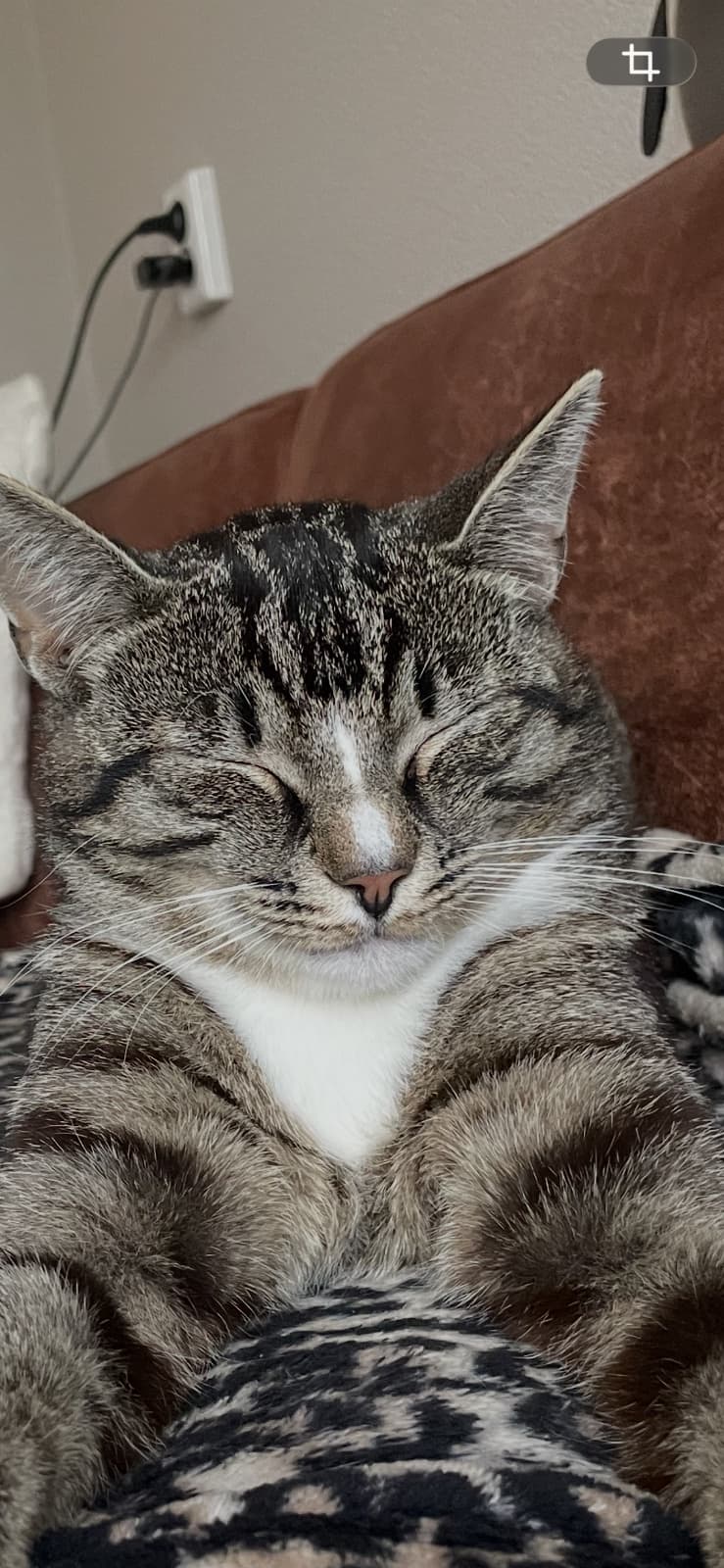 Foto van Tobi